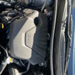 746a2b19-539a-4bb7-addd-c0b2fca9288a